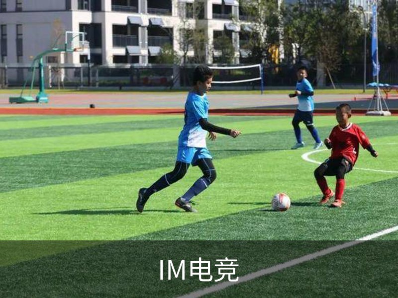 IM电竞介绍
